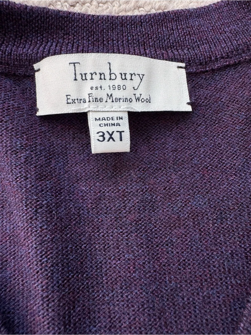 Turnbury Men’s 3XL Tall Extra Fine Merino Wool V-Neck Sweater Purple Minimalist